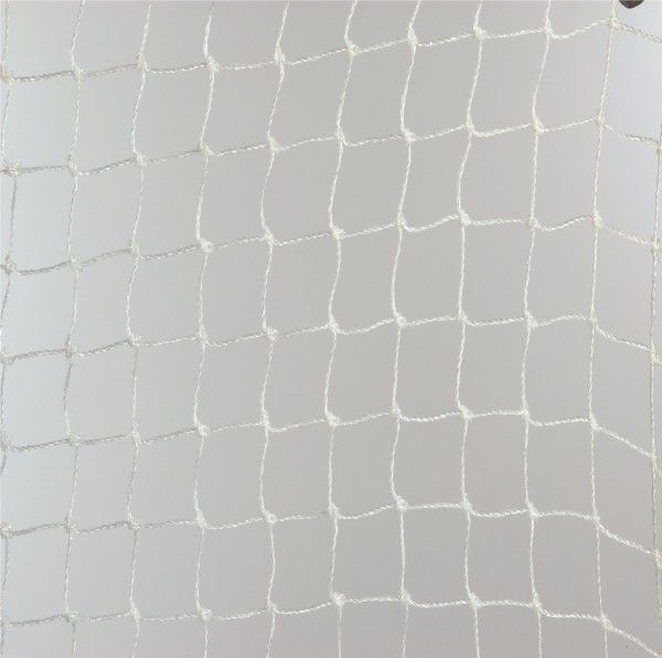 Spurvenet 19mm - 5m x 5m Transparent
