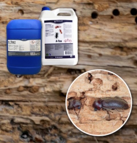 Web page banners for pelsis.dk 18179471033 150x150_A-Tox