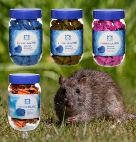 Web page banners for pelsis.dk 18179471033 150x150_Nara